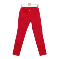 JACK BUNNY WbNoj[  Xgb`pc  bhn TCYF0 NFB yÁzStEFA