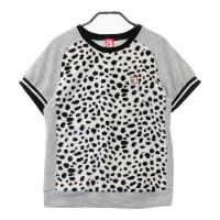 ARCHIVIO A`rI   jbgZ[^[ _VA O[n TCYF36 NFA- yÁzStEFA