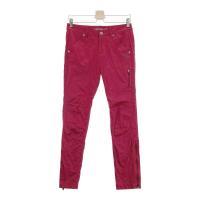 MASTER BUNNY EDITION }X^[oj[GfBV  Opc Wbv  bhn TCYF1 NFB yÁzStEFA