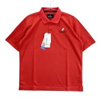 PARADISO pfB[]  |Vc  bhn TCYFM NFN yVizStEFA