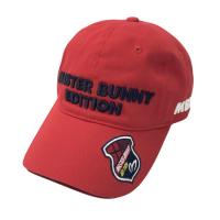 MASTER BUNNY EDITION }X^[oj[GfBV  Lbv  bhn NFA- yÁzStEFA