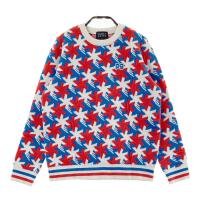 PEARLY GATES p[[QCc  E[ jbgZ[^[  u[n TCYF0 NFB yÁzStEFA