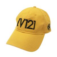 V12 BgDG  Lbv  CG[n NFB yÁzStEFA