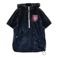 DANCE WITH DRAGON _XEBYhS  n[tWbv u] t[ht  ubNn TCYF2 NFA- yÁzStEFA