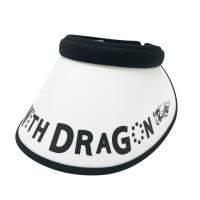 DANCE WITH DRAGON _XEBYhS  ToCU[ coL  zCgn NFN yVizStEFA