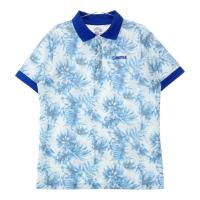 SANRISE TCY  |Vc ԕ u[n TCYFXL NFA- yÁzStEFA