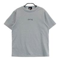 PING s 2024Nf TVc  O[n TCYFS NFA- yÁzStEFA