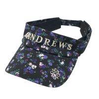 ST ANDREWS ZgAh[X  ToCU[   ubNn NFA- yÁzStEFA