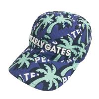 PEARLY GATES p[[QCc  Lbv V̖ؑ u[n NFA- yÁzStEFA