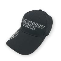 MASTER BUNNY EDITION }X^[oj[GfBV ~ LOONEY TUNES/2023Nf Lbv  ubNn NFB yÁzStEFA