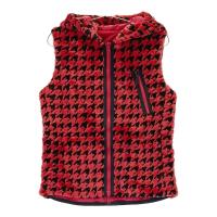 DANCE WITH DRAGON _XEBYhS  t[ht o[Vu {A WbvxXg 璹 bhn TCYF2 NFB yÁzStEFA