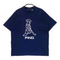 PING s  jbgZ[^[  lCr[n TCYFM NFA- yÁzStEFA