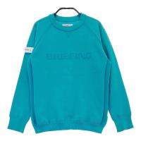 BRIEFING GOLF u[tBO 2024Nf jbgZ[^[ S  u[n TCYFS NFB yÁzStEFA