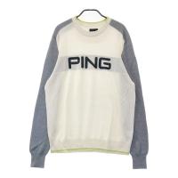 PING s  jbgZ[^[  zCgn TCYFLL NFA- yÁzStEFA