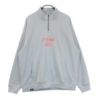 PING s 2025Nf XEFbgp[J[  O[n TCYF3L NFA- yÁzStEFA