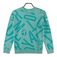 TAYLOR MADE �e�[���[���C�h  �����j�b�g�Z�[�^�[ �E�[���� ���� �O���[���n �T�C�Y�FM �����N�FB �y���Áz�S���t�E�F�A