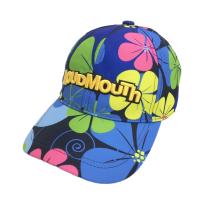 LOUD MOUTH ���E�h�}�E�X  �L���b�v ���C���h�t�����[ �� �l�C�r�[�n �����N�FB �y���Áz�S���t�E�F�A