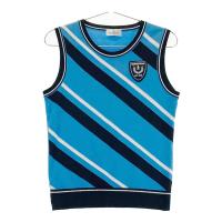 MUNSING WEAR �}���V���O�E�F�A  �j�b�g�x�X�g �X�g���C�v�� �u���[�n �T�C�Y�FM �����N�FA- �y���Áz�S���t�E�F�A