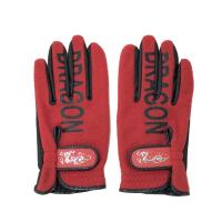 DANCE WITH DRAGON �_���X�E�B�Y�h���S��  �O���[�u ����p �h���S��  ���b�h�n �����N�FN �y�V�i�z�S���t�E�F�A