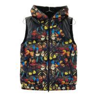 DANCE WITH DRAGON �_���X�E�B�Y�h���S��  ���o�[�V�u�� �t�[�h �{�A�~�_�E���x�X�g �o�^�t���C���� �u���b�N�n �T�C�Y�F2 �����N�FA- �y���Áz�S���t�E�F�A