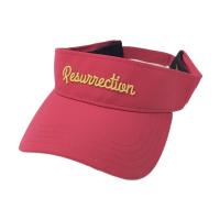 RESURRECTION ���U���N�V����  �T���o�C�U�[  �s���N�n �����N�FB �y���Áz�S���t�E�F�A