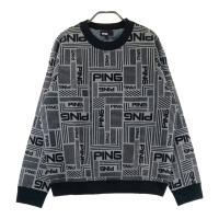 PING �s��  ���n�t�� �j�b�g�Z�[�^�[ ���� �O���[�n �T�C�Y�FLL �����N�FA- �y���Áz�S���t�E�F�A