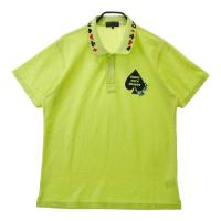 DANCE WITH DRAGON �_���X�E�B�Y�h���S��  �����|���V���c �`�r�h��  �O���[���n �T�C�Y�F4 �����N�FB �y���Áz�S���t�E�F�A