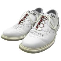 NIKE GOLF �i�C�L�S���t DM0103-105 �S���t�V���[�Y Air Jordan ADG 4  �z���C�g�n �T�C�Y�F28.0cm �����N�FB �y���Áz�S���t�E�F�A