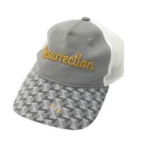 RESURRECTION ���U���N�V����  ���b�V���L���b�v ���� �O���[�n �����N�FB �y���Áz�S���t�E�F�A