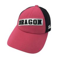 DANCE WITH DRAGON �_���X�E�B�Y�h���S��  ���b�V���L���b�v  �s���N�n �����N�FN �y�V�i�z�S���t�E�F�A