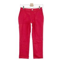 ZOY �]�[�C  �X�g���b�` ������p���c  ���b�h�n �T�C�Y�F36 �����N�FA- �y���Áz�S���t�E�F�A