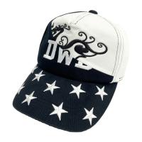 DANCE WITH DRAGON �_���X�E�B�Y�h���S��  �L���b�v  �u���b�N�n �����N�FA- �y���Áz�S���t�E�F�A