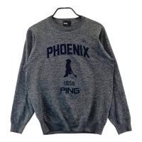 PING �s��  �j�b�g�Z�[�^�[  �O���[�n �T�C�Y�FS �����N�FB �y���Áz�S���t�E�F�A