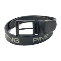 PING �s��  ���S�x���g  �u���b�N�n �����N�FB �y���Áz�S���t�E�F�A