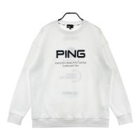 PING �s��  ����T�V���c  �z���C�g�n �T�C�Y�FLL �����N�FB �y���Áz�S���t�E�F�A