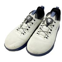ecco �G�R�[ 130424 BIOM C4 BOA �X�p�C�N���X�V���[�Y �o�C�I��  Gore-Tex  �z���C�g�n �T�C�Y�FEU/40 �����N�FB �y���Áz�S���t�E�F�A