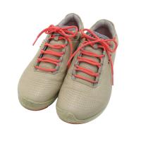 ecco GR[ 120253-50757/BIOM HYBRID2 XpCNX StV[Y  x[Wn TCYF36 NFB yÁzStEFA