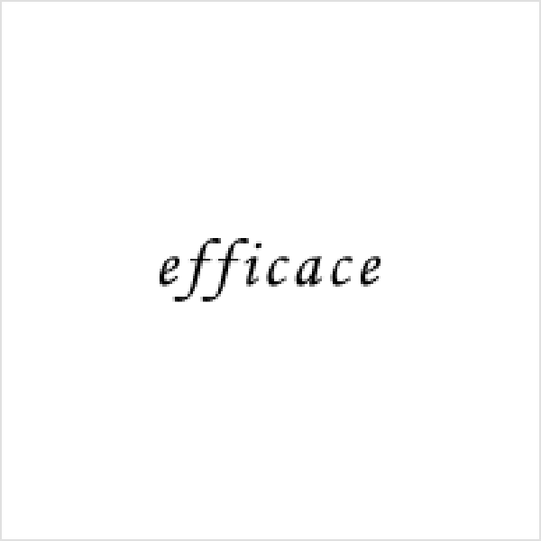 EFFICACE(GtBJX)